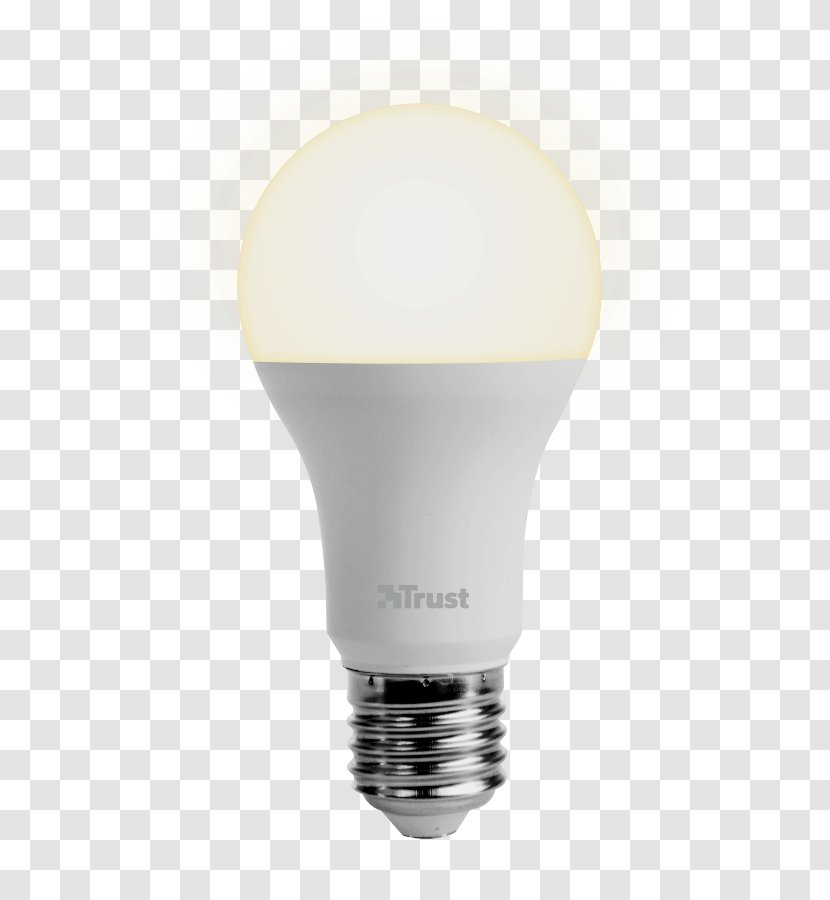 Lighting Edison Screw Lamp - Catalog - Sadu Transparent PNG