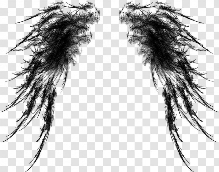 Крылья: избранное Sticker /m/02csf Bird Eye - Heart - Buffalo Wings Transparent PNG