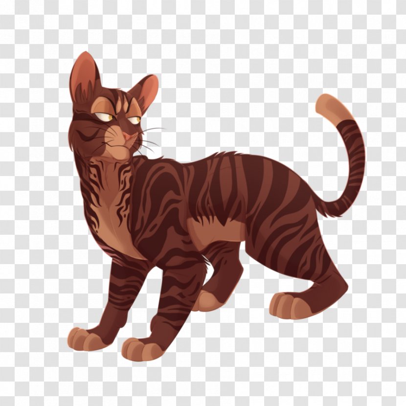 Whiskers Tabby Cat Paw Tail Transparent PNG