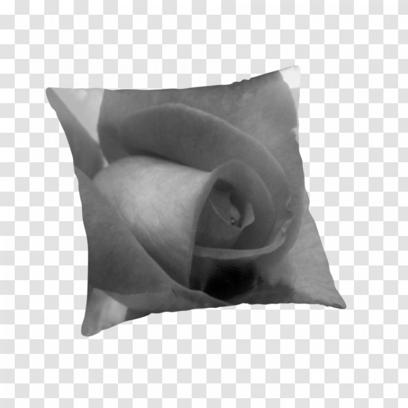 Throw Pillows Cushion White - Pillow Transparent PNG