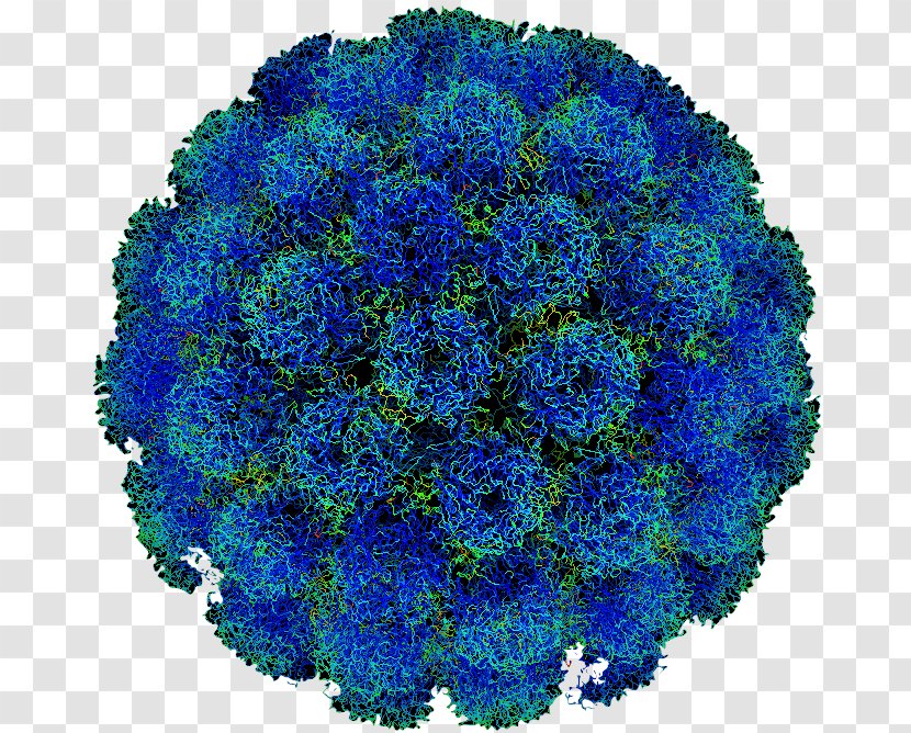Poliomyelitis Poliovirus Disease Human Papillomavirus Infection - Tobacco Mosaic Virus - Cartoon Of Ferocious Cells Transparent PNG