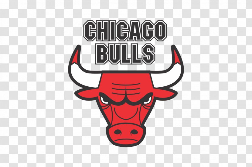 United Center Chicago Bulls NBA Phoenix Suns Washington Wizards - Bull Transparent PNG