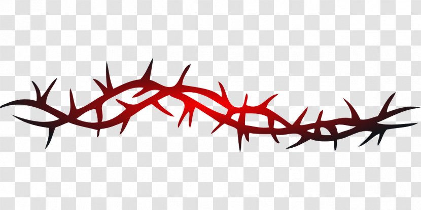 Thorns, Spines, And Prickles Vine Rose Crown Of Thorns Clip Art - Barbwire Transparent PNG