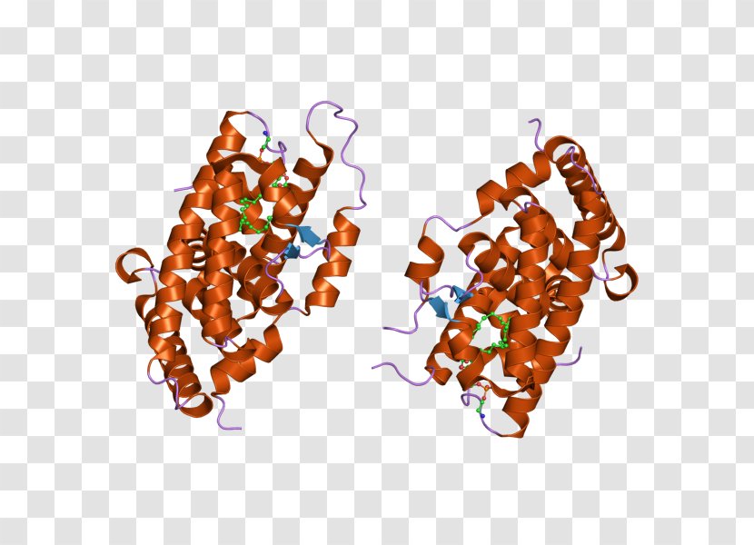 Steroidogenic Factor 1 XY Gonadal Dysgenesis Acute Regulatory Protein Sex-determination System - Gene - Cortisone Transparent PNG