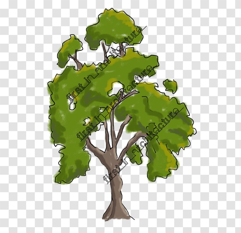 Branch Drawing Tree Sketch - Shading - Sketchy Transparent PNG