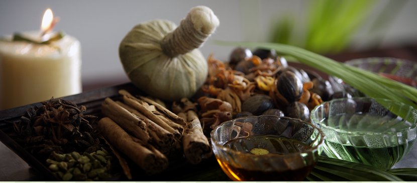 Organic Food Herb Ayurveda Medicine Turmeric - Shirodhara - Herbs Transparent PNG
