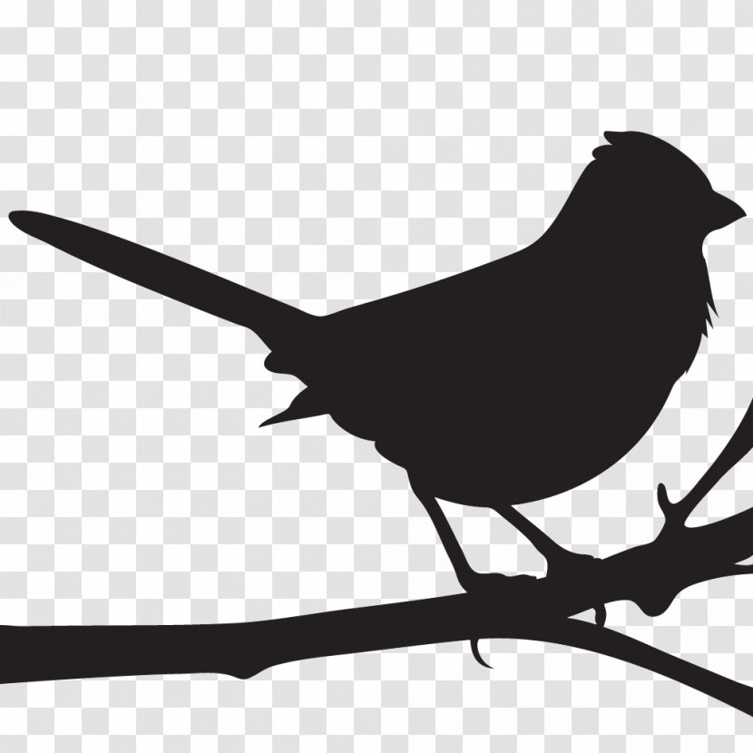 Cornell Lab Of Ornithology Spotted Towhee All About Birds - Mockingbird Transparent PNG