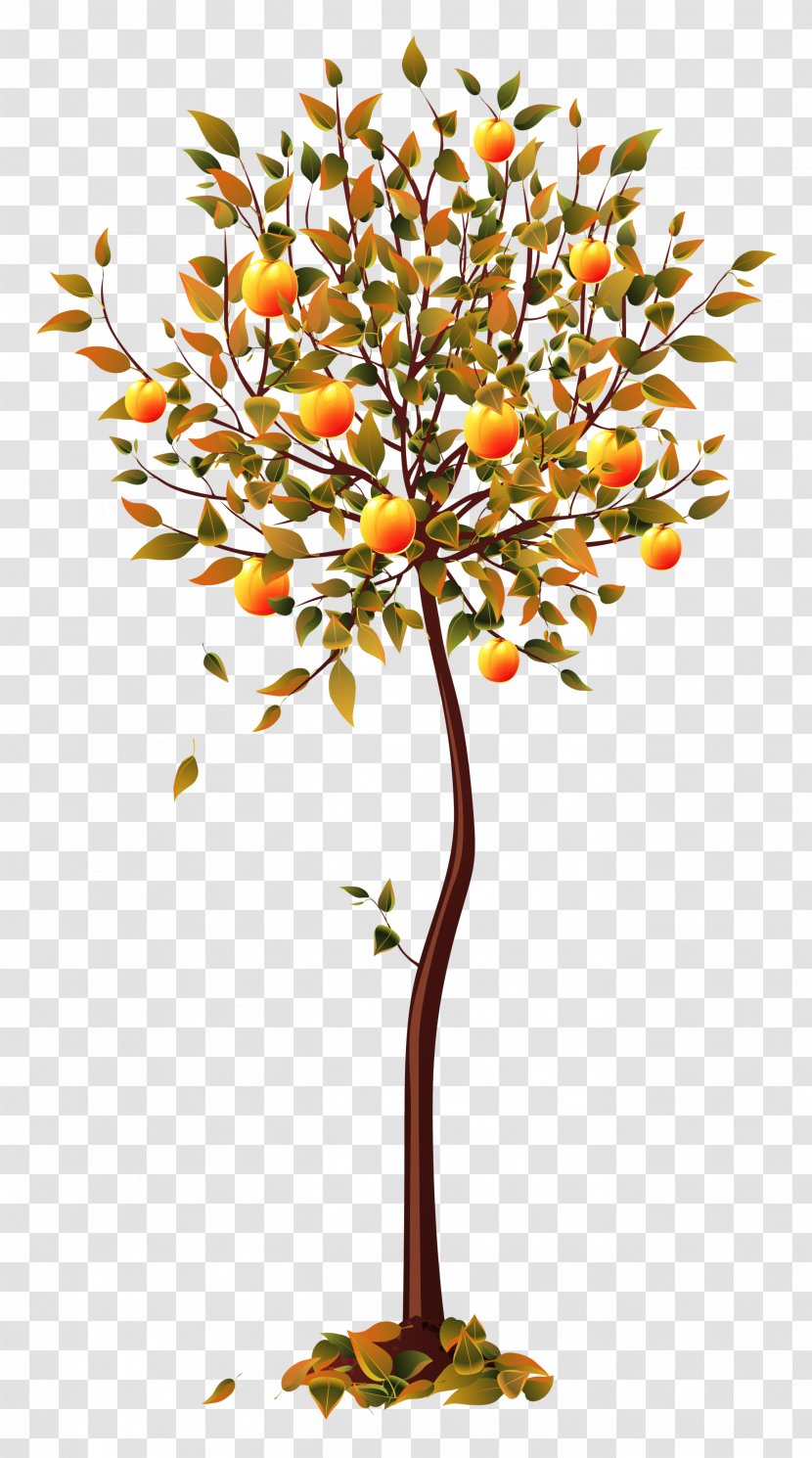Fruit Tree - Sowing - Flower Transparent PNG