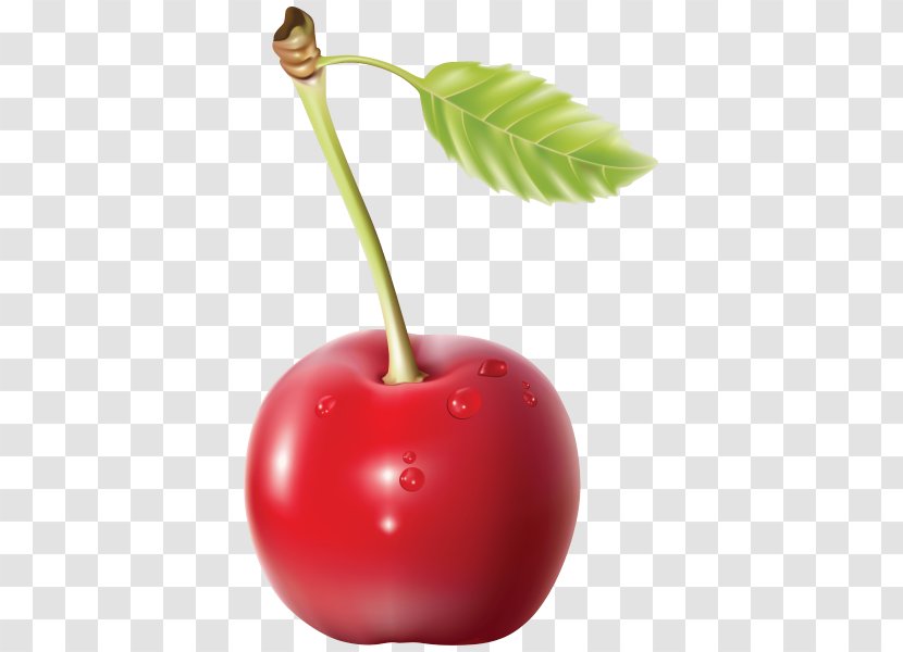 Cherry Clip Art - Display Resolution Transparent PNG