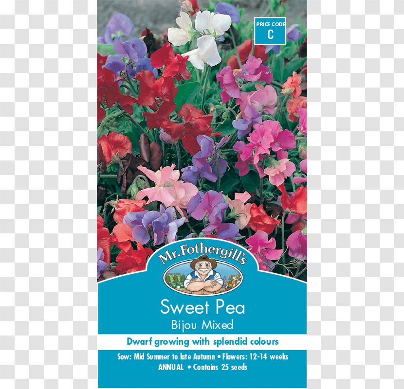 Cut Flowers Broad-leaved Sweet Pea Seed - Pink Transparent PNG