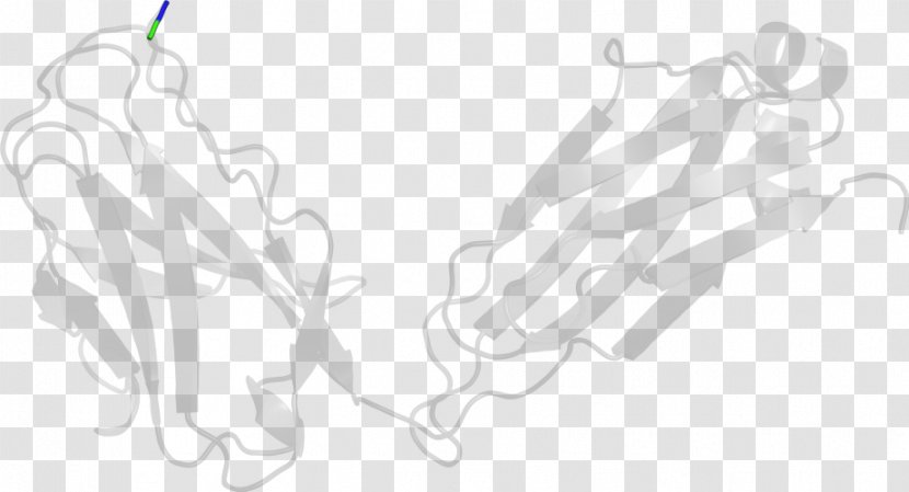 Line Art Drawing White - Branch - Design Transparent PNG
