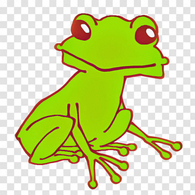 Toad True Frog Frogs Tree Frog Amphibians Transparent PNG