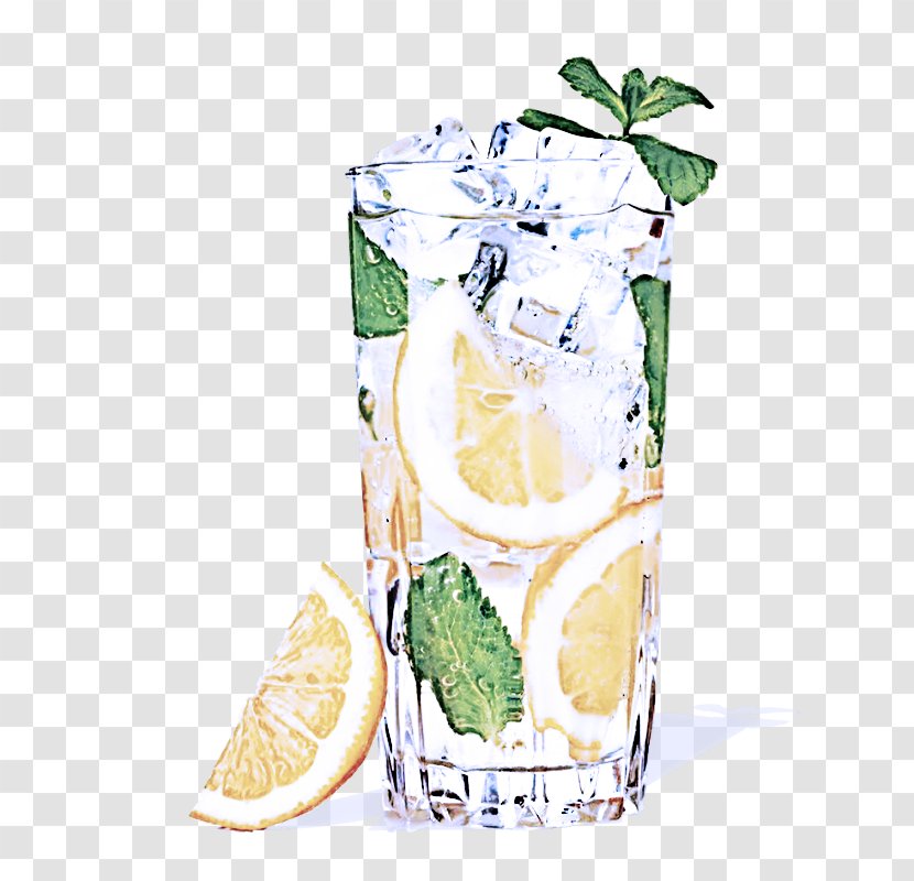 Mojito - Highball Glass - Side Dish Transparent PNG