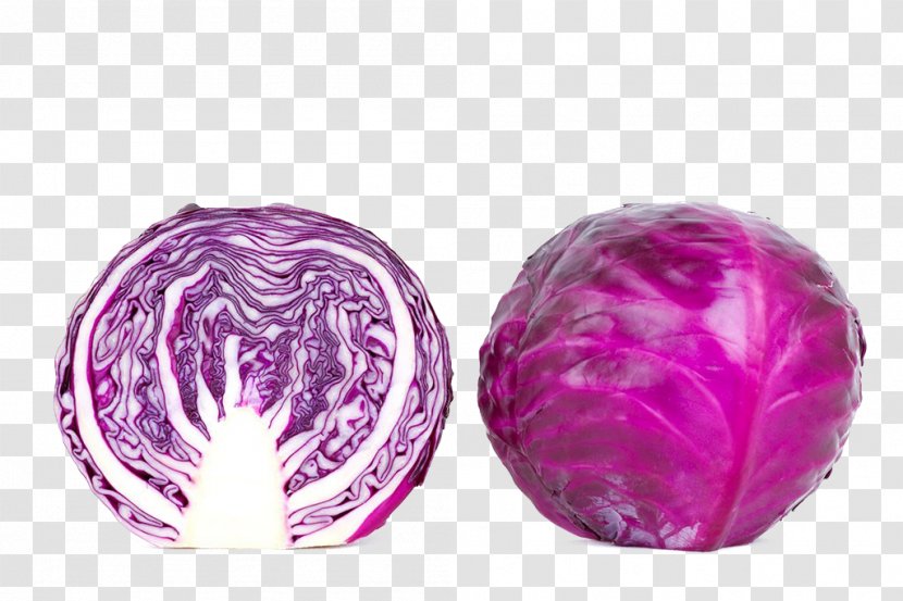 Red Cabbage Vegetable Diabetes Mellitus Eating - Plant - Purple Transparent PNG