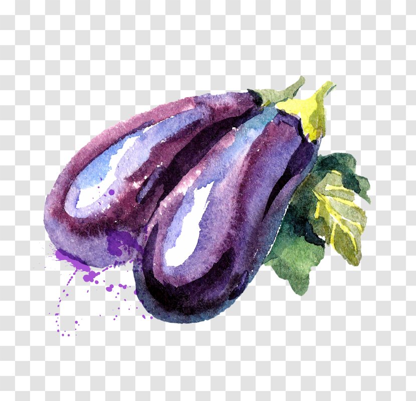 Watercolor Painting Vegetable Eggplant - Zucchini - Vegetables Transparent PNG