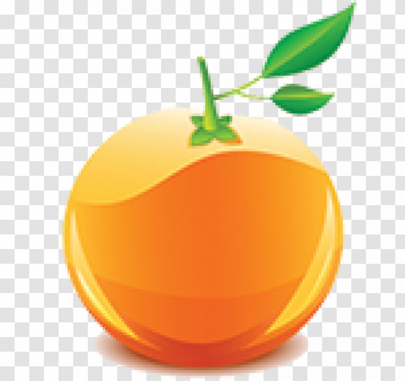 Juice Grapefruit Lemon Mandarin Orange Transparent PNG