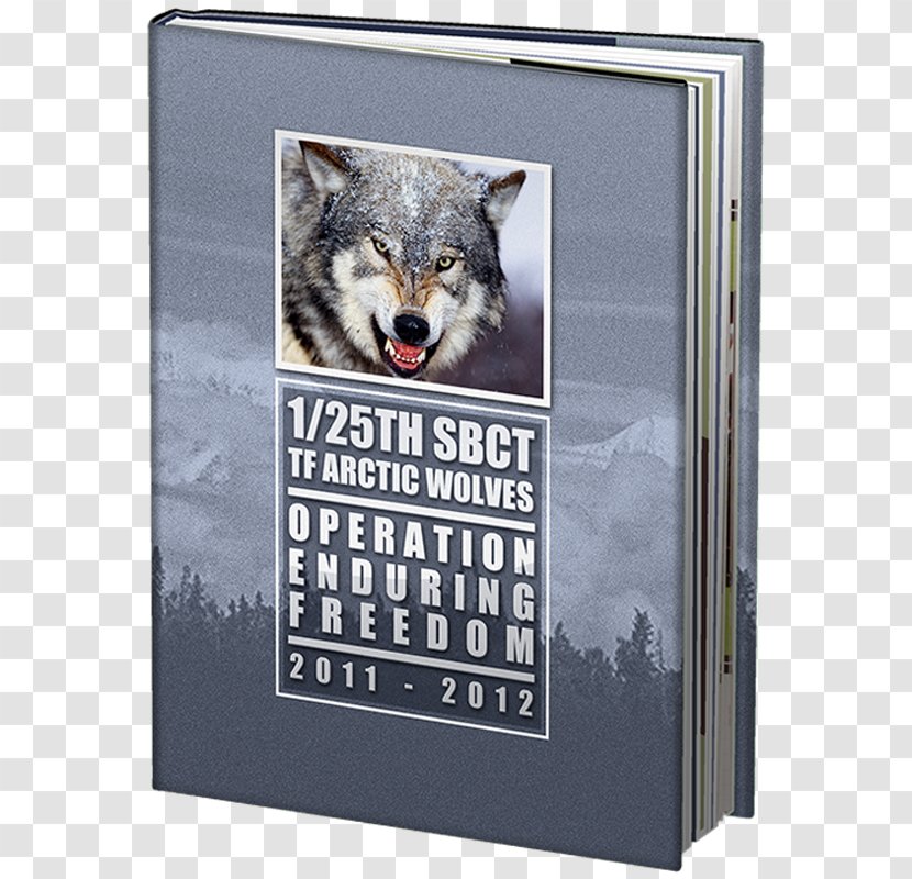2nd Battalion, Parachute Regiment 75th Ranger Veteran - Picture Frame - Book Store Transparent PNG
