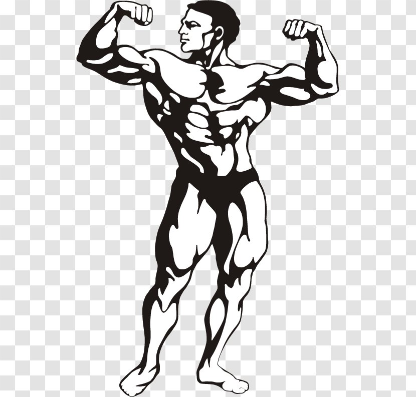 Female Bodybuilding Fitness Centre Clip Art - Man - Vector Transparent PNG