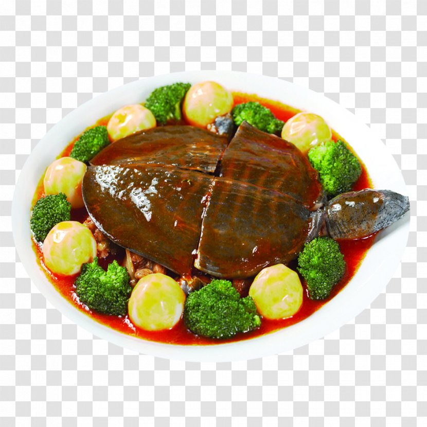 Nutrient Chinese Softshell Turtle Food Nutrition Soup - Fish - Stew Transparent PNG