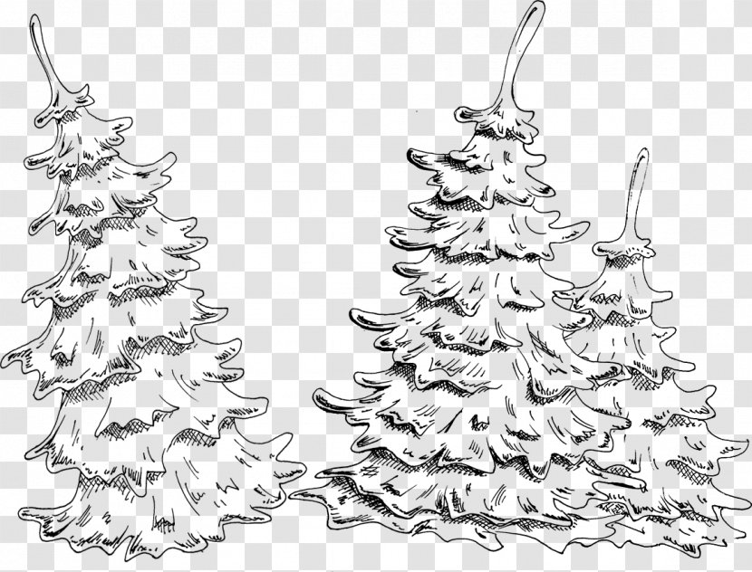 Christmas Tree Ornament Spruce Fir - Said It Was Pyramid Transparent PNG
