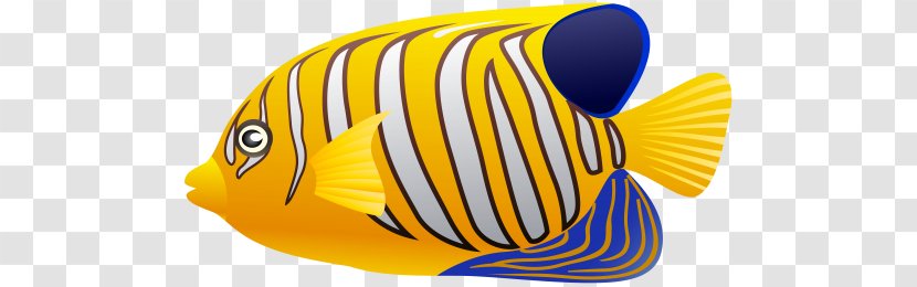 Fish Fin Clip Art - Marine Biology - Pomacanthidae Transparent PNG