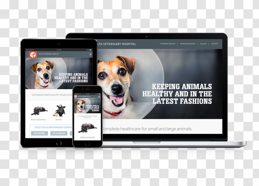 Malta Veterinary Hospital Balcom-Vetillo Design, Inc. Dog Breed - Media Transparent PNG