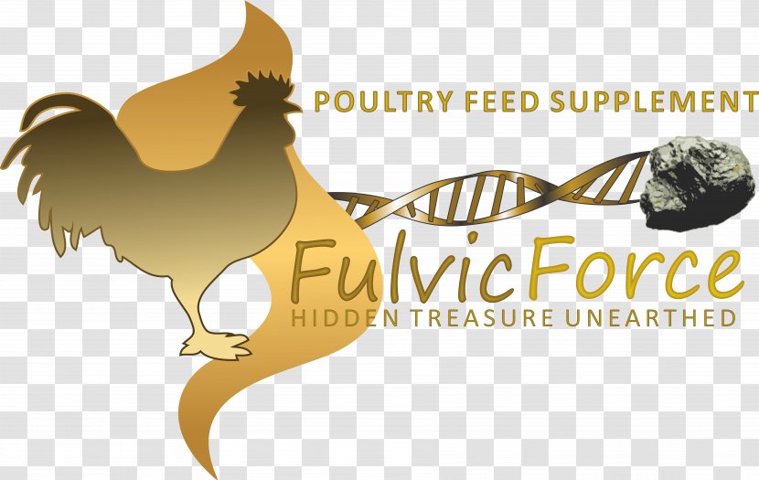 Cattle Pekin Chicken Broiler Poultry Farming - Organism Transparent PNG