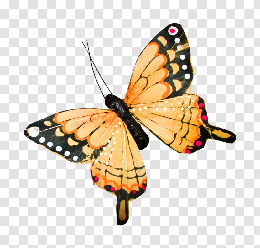 Icon - Monarch Butterfly - Wings Transparent PNG