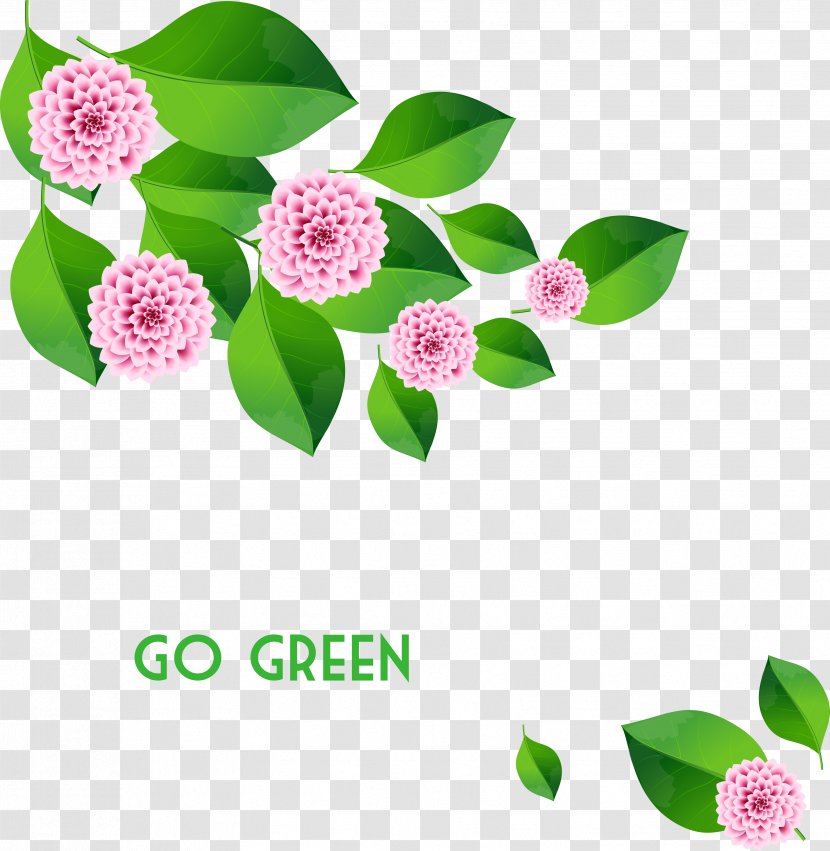 Euclidean Vector Flower Plant Leaf - Green - Flowers Material Transparent PNG