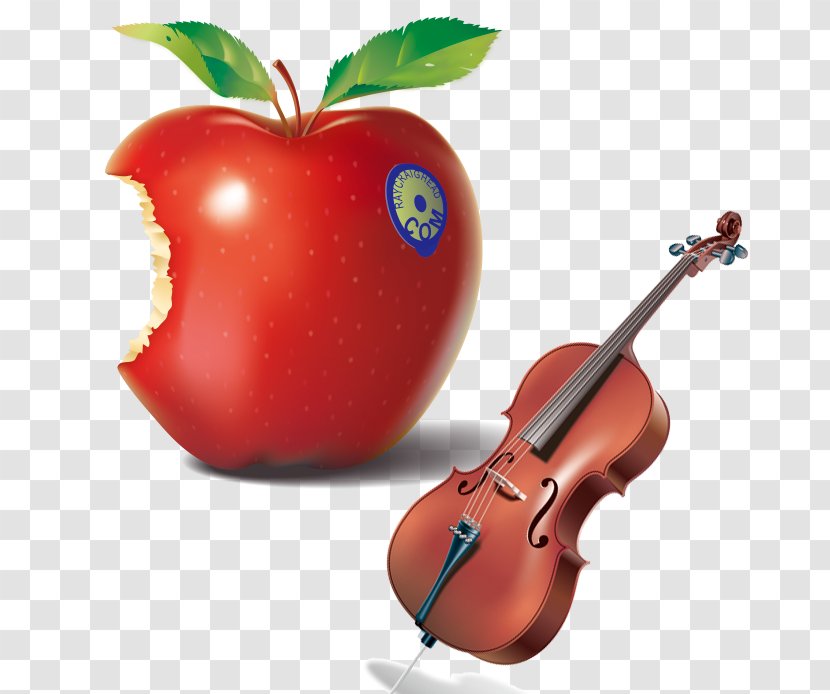 Meet Me At The Commons: A Field Guide To Common Core Standards In Higher Education State Initiative Teacher School - Middle - Tempting Red Apple And Violin Transparent PNG