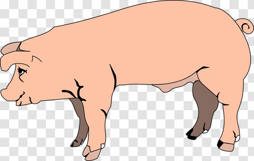 Domestic Pig Clip Art - Website - Brown Boar Sad Mood Transparent PNG