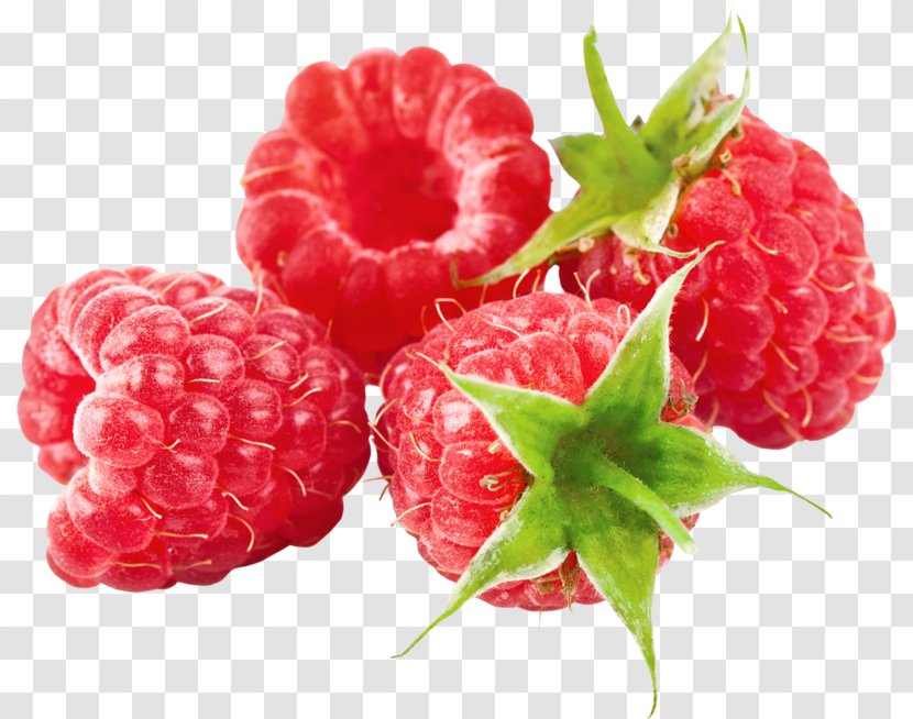Raspberry Organic Food Boysenberry Transparent PNG