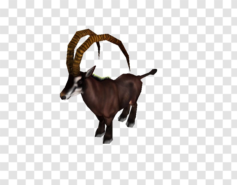 Cattle Antelope Goat Reindeer Horn - Wildlife - Zoo Tycoon 2 Endangered Species Transparent PNG