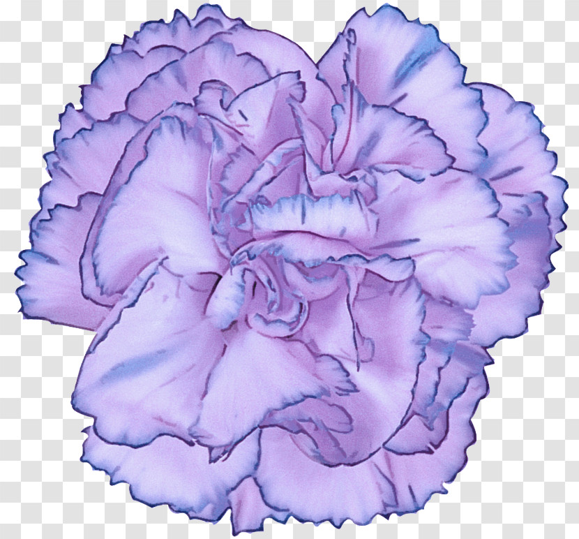 Lavender Transparent PNG