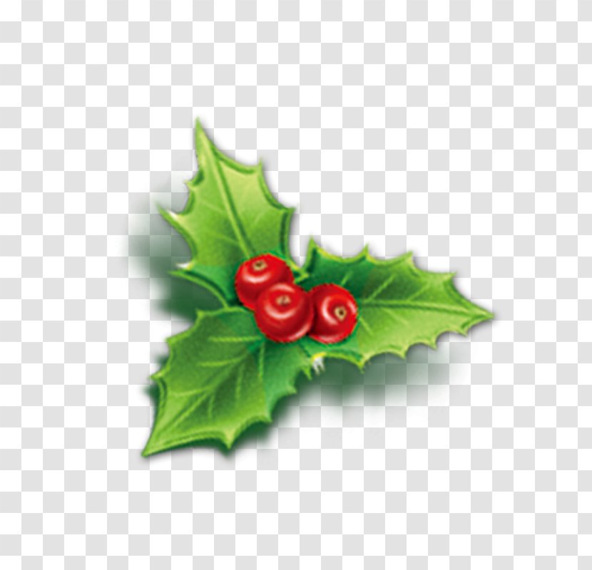 Holly Aquifoliales Christmas Mistletoe Icon - Plant - Cherry Transparent PNG