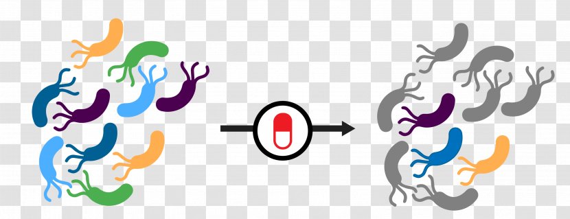 Bacteria Logo Clip Art Transparent PNG