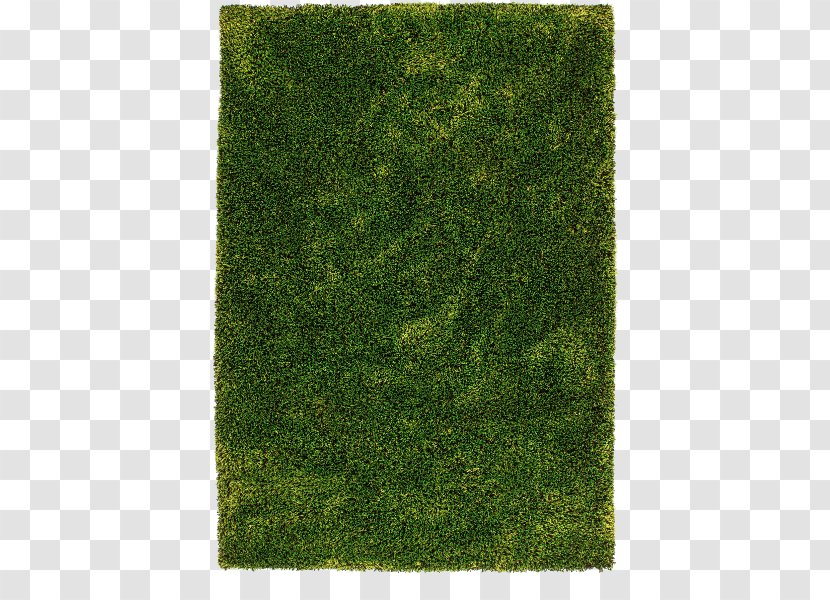 Carpet Pile Color Green Anthracite Transparent PNG