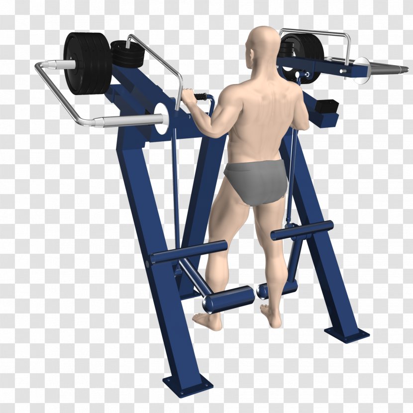 Exercise Machine Equipment Fitness Centre Physical - Cartoon - Barbell Transparent PNG