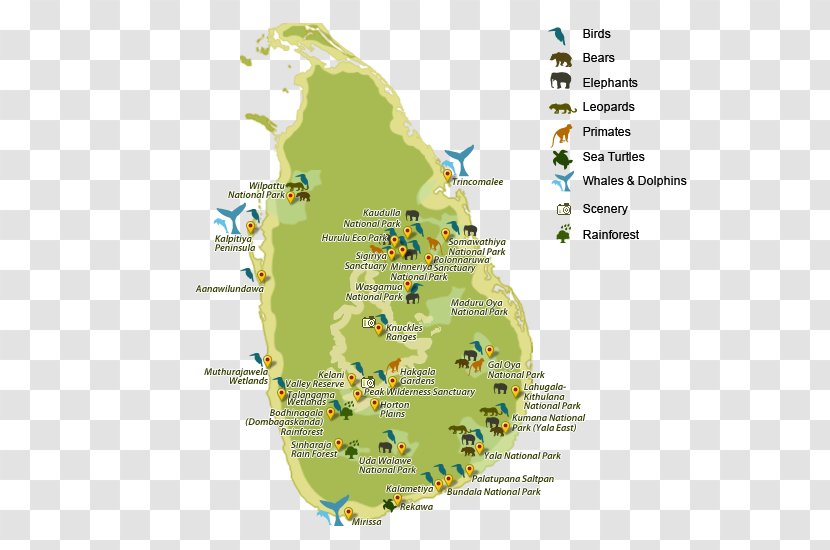 Sinharaja Forest Reserve Yala National Park Map Udawalawe Transparent PNG