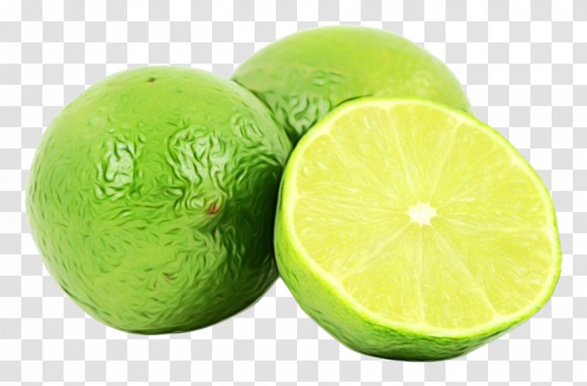 Persian Lime Key Fruit Sweet Lemon - Wet Ink - Lemonlime Food Transparent PNG