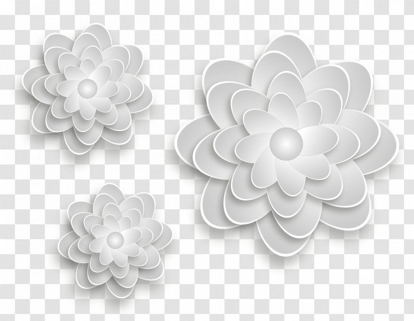 Black And White Petal Flower - Tulip Transparent PNG