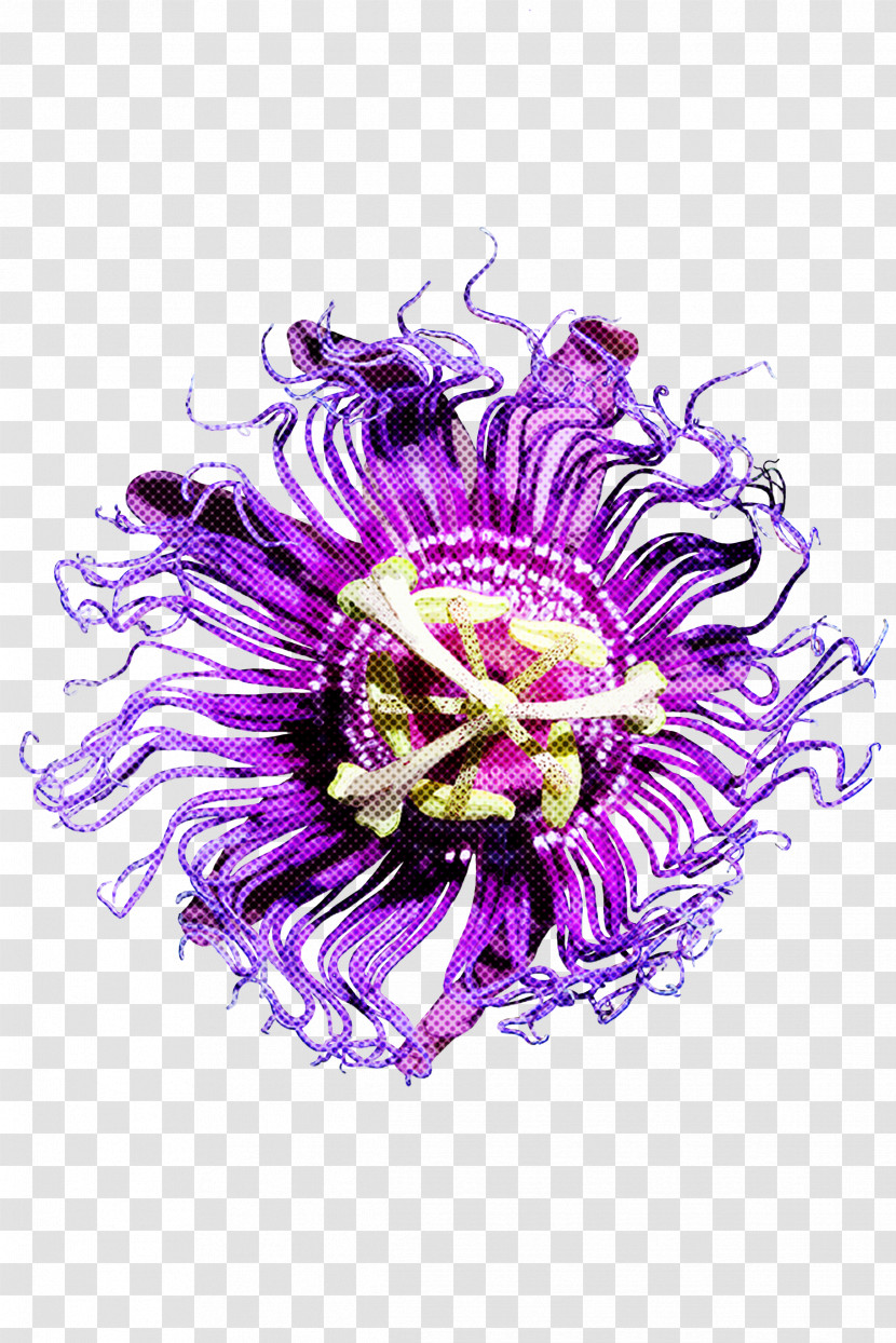 Violet Purple Passionflower Purple Passion Flower Flower Transparent PNG