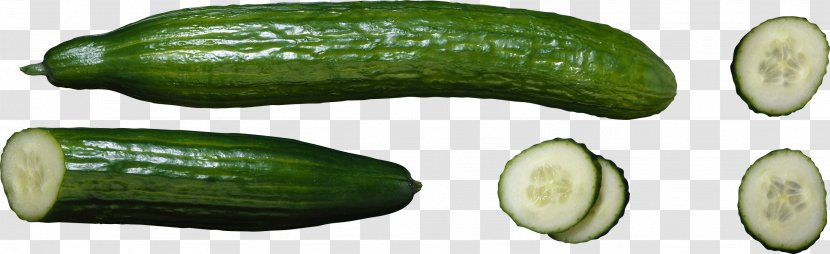 Cucumber - Clipping Path - Vegetables Transparent PNG