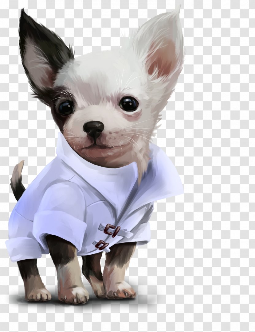Chihuahua Puppy Dog Breed Painting Image Transparent PNG