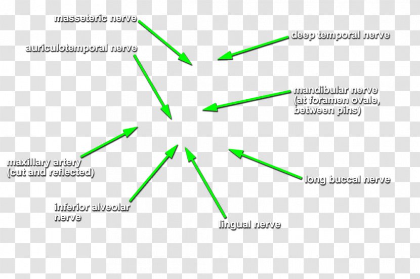 Green Line Product Design Angle Diagram Transparent PNG