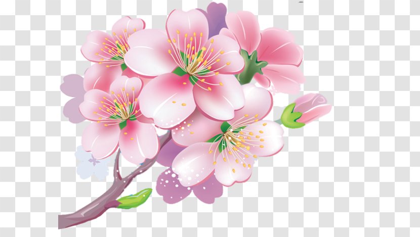 Cherry Blossom Натяжна стеля Clip Art - Cabinetry Transparent PNG