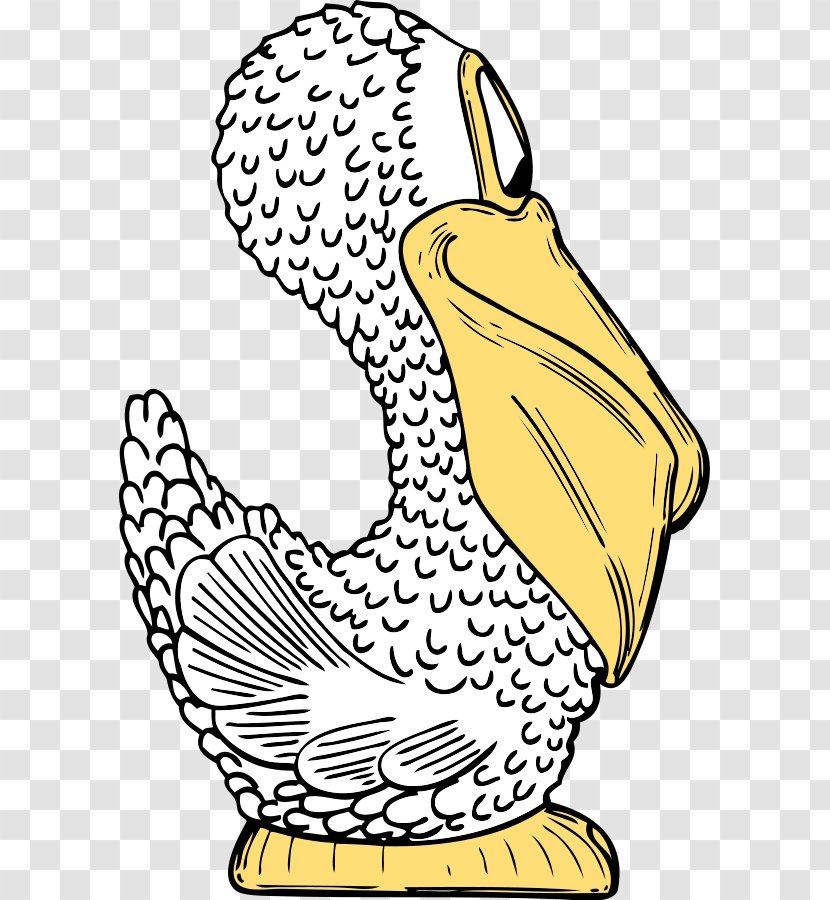 Pelican Euclidean Vector Illustration - Yellow - Cartoon Pictures Transparent PNG