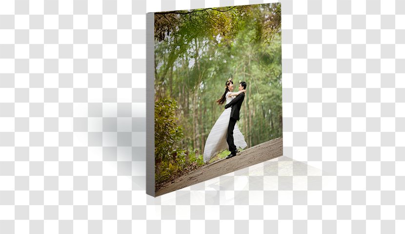 Brushed Metal Aluminium Paper Marriage - Box Transparent PNG