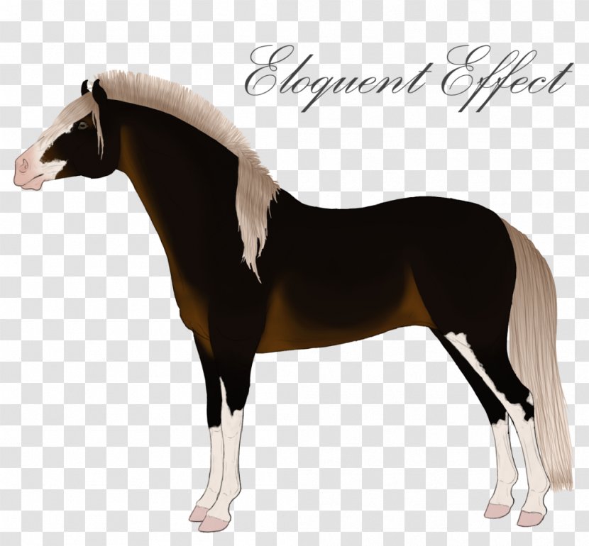Stallion Mustang Mare Colt Halter - Rein - Moonlight Effect Transparent PNG