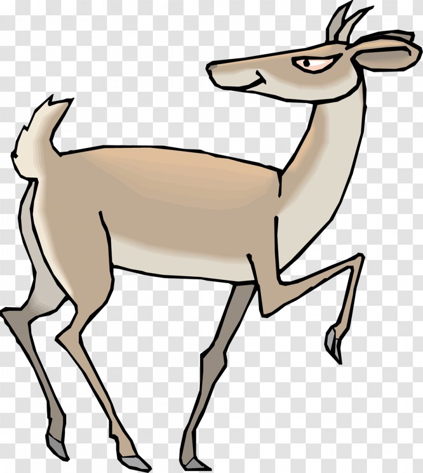 Antelope Pronghorn Clip Art - Fauna Transparent PNG